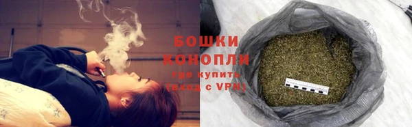 прущий лед Абаза
