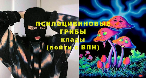 прущий лед Абаза