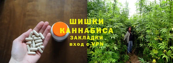 гашик Ладушкин
