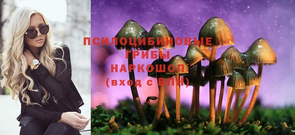 бошки Сатка