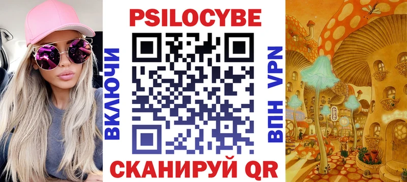 Галлюциногенные грибы Psilocybe  MEGA tor  Власиха 